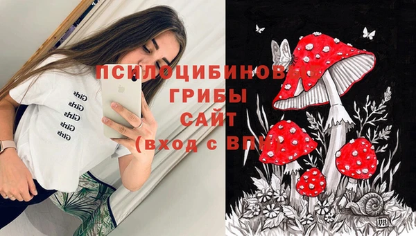 Альфа ПВП Богданович