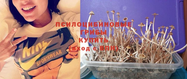 Альфа ПВП Богданович