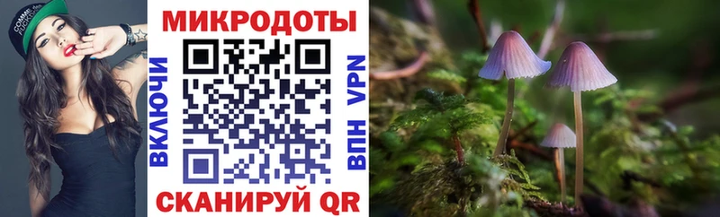 Галлюциногенные грибы Psilocybe  Купить где  Нестеровская 